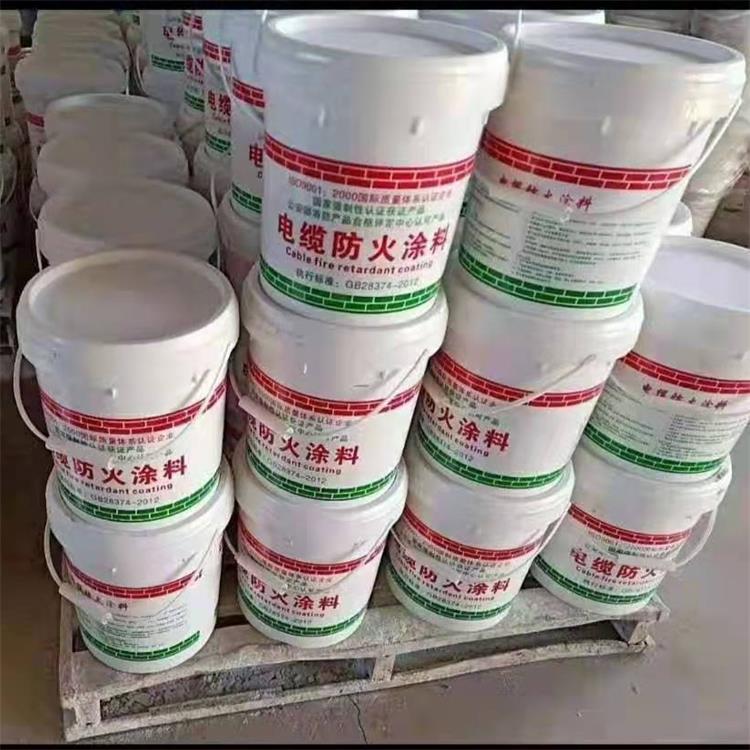 ����Ϳ��